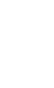 POINT 01